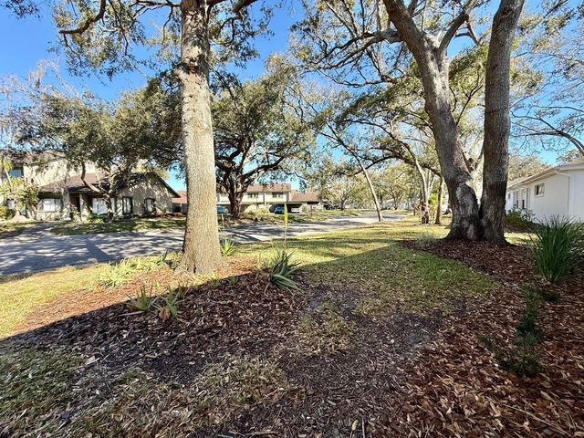 8530 ALEXANDRA ARBOR LANE, Temple Terrace, FL 33637