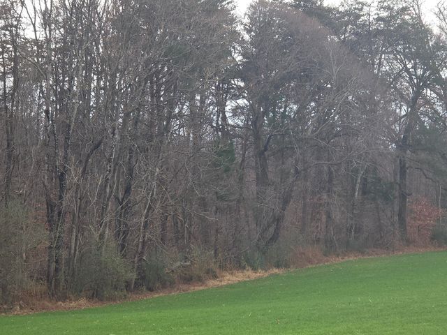 E 0 Old Franklin Turnpike, Glade Hill, VA 24092