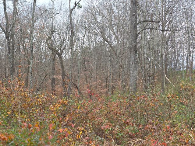 E 0 Old Franklin Turnpike, Glade Hill, VA 24092