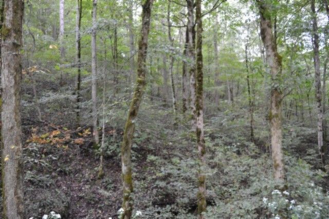 0 Campbell Hill Rd, Gainesboro, TN 38562