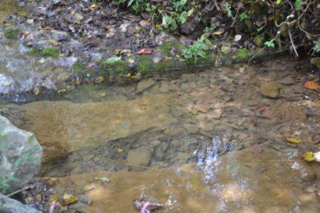 0 Campbell Hill Rd, Gainesboro, TN 38562