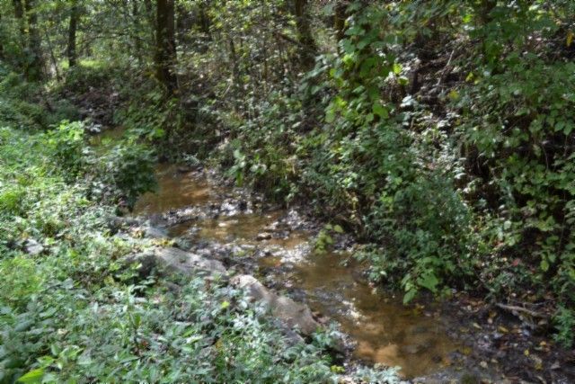 0 Campbell Hill Rd, Gainesboro, TN 38562