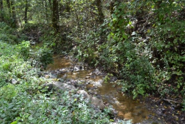 0 Campbell Hill Rd, Gainesboro, TN 38562