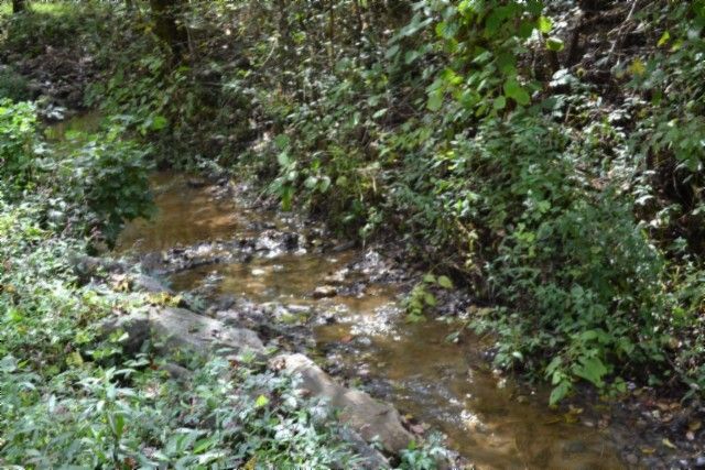 0 Campbell Hill Rd, Gainesboro, TN 38562