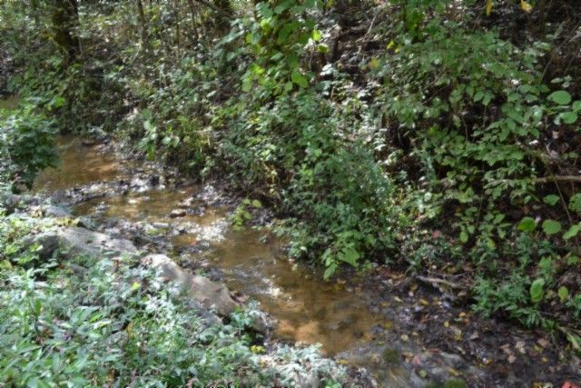 0 Campbell Hill Rd, Gainesboro, TN 38562