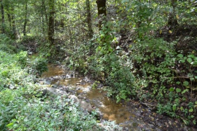 0 Campbell Hill Rd, Gainesboro, TN 38562