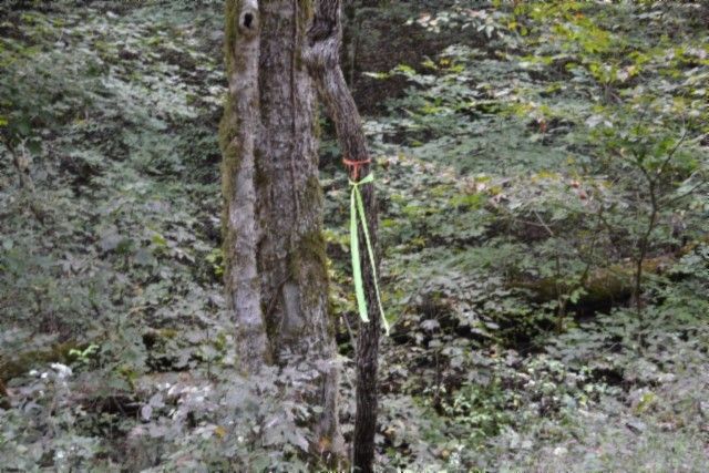 0 Campbell Hill Rd, Gainesboro, TN 38562