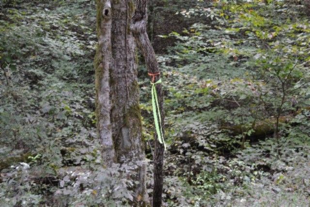 0 Campbell Hill Rd, Gainesboro, TN 38562