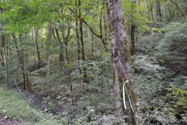 0 Campbell Hill Rd, Gainesboro, TN 38562