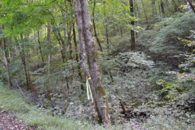 0 Campbell Hill Rd, Gainesboro, TN 38562