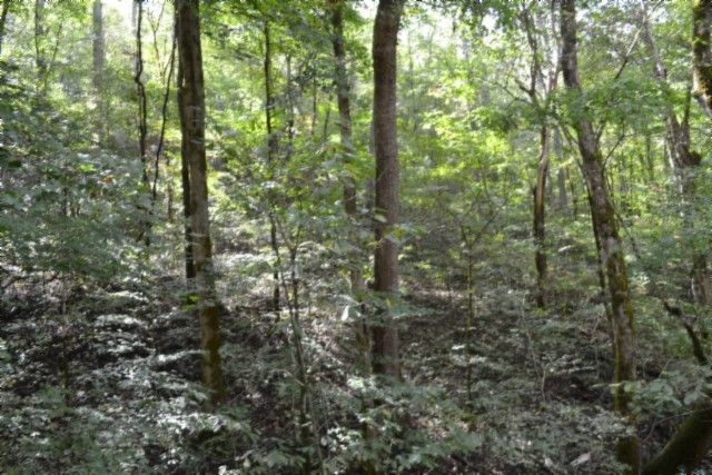 0 Campbell Hill Rd, Gainesboro, TN 38562