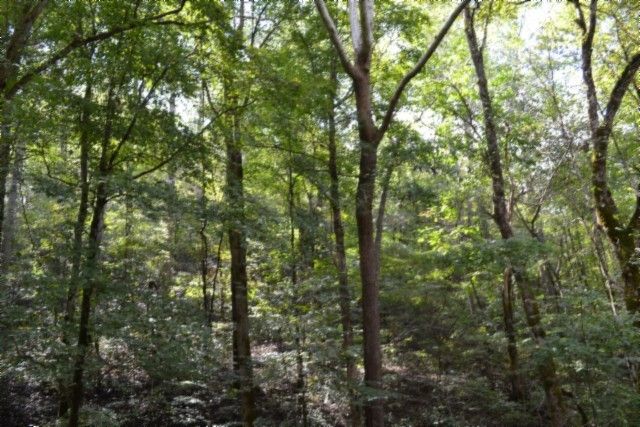 0 Campbell Hill Rd, Gainesboro, TN 38562