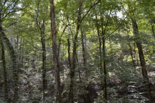 0 Campbell Hill Rd, Gainesboro, TN 38562