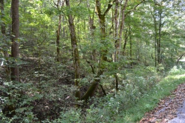 0 Campbell Hill Rd, Gainesboro, TN 38562