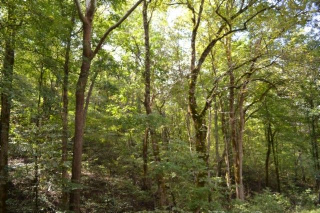 0 Campbell Hill Rd, Gainesboro, TN 38562