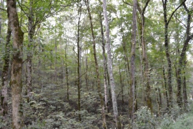 0 Campbell Hill Rd, Gainesboro, TN 38562