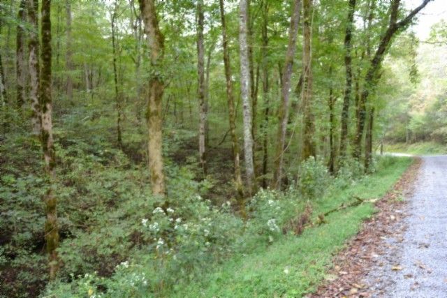 0 Campbell Hill Rd, Gainesboro, TN 38562