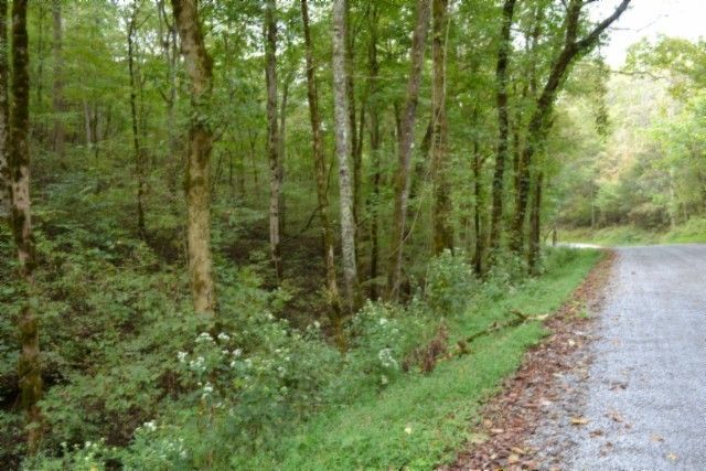 0 Campbell Hill Rd, Gainesboro, TN 38562