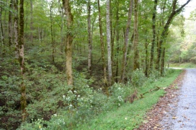 0 Campbell Hill Rd, Gainesboro, TN 38562