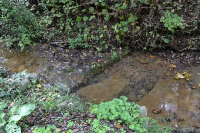 0 Campbell Hill Rd, Gainesboro, TN 38562