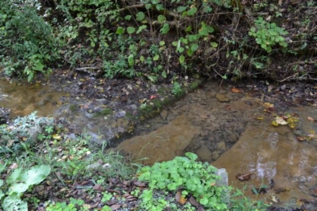 0 Campbell Hill Rd, Gainesboro, TN 38562