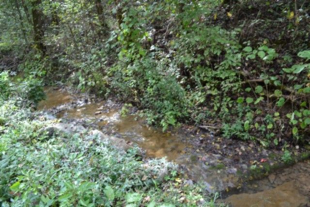 0 Campbell Hill Rd, Gainesboro, TN 38562