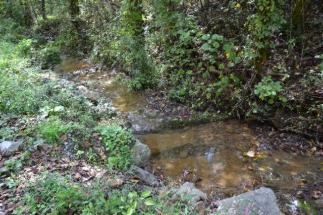 0 Campbell Hill Rd, Gainesboro, TN 38562