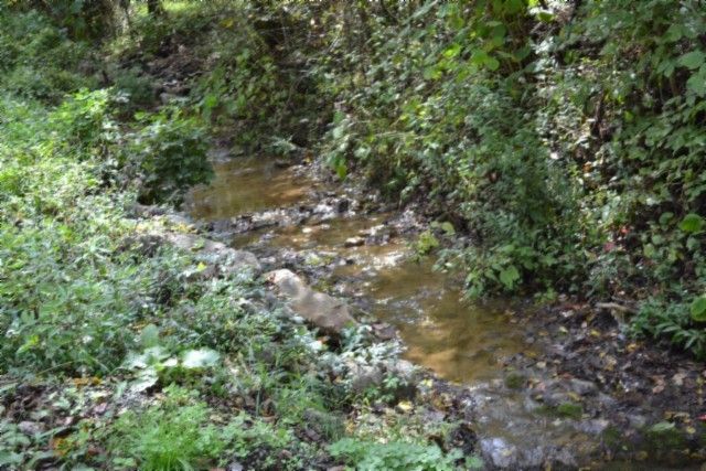 0 Campbell Hill Rd, Gainesboro, TN 38562