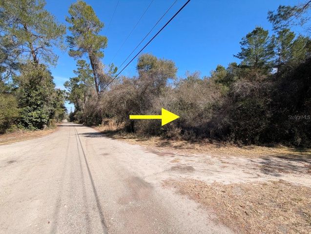 COCHRAN ROAD, Geneva, FL 32732