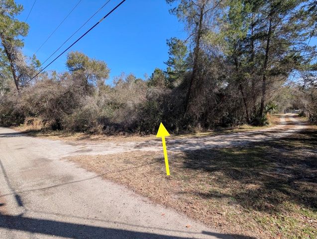 COCHRAN ROAD, Geneva, FL 32732