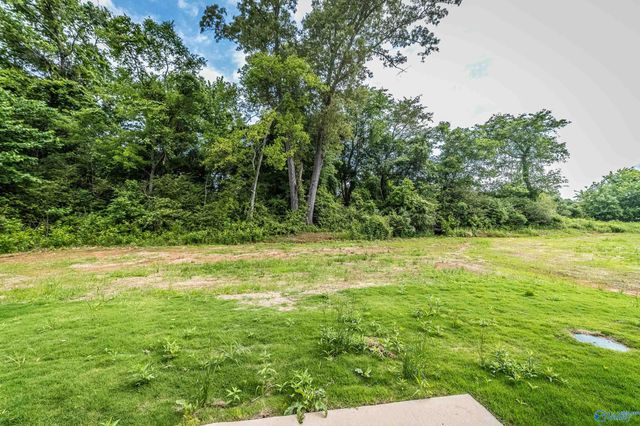 201 Primer Lane, New Market, AL 35761