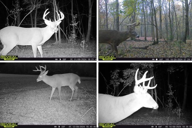 N5956 Town Shop ROAD, Camp Douglas, WI 54618