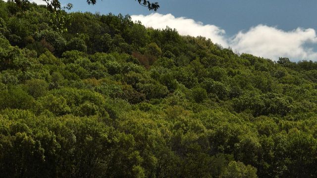 N5956 Town Shop ROAD, Camp Douglas, WI 54618