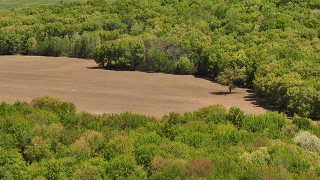 N5956 Town Shop ROAD, Camp Douglas, WI 54618