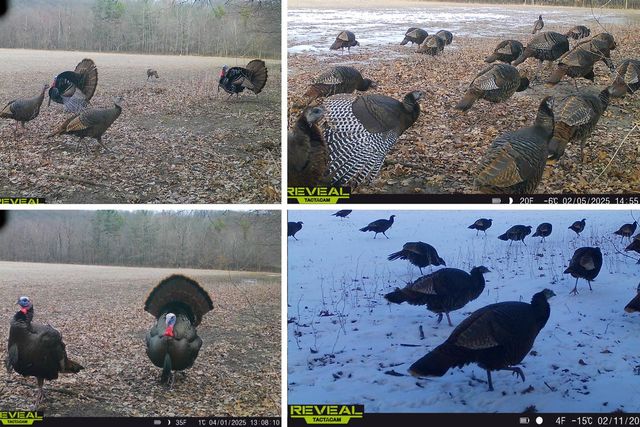 N5956 Town Shop ROAD, Camp Douglas, WI 54618