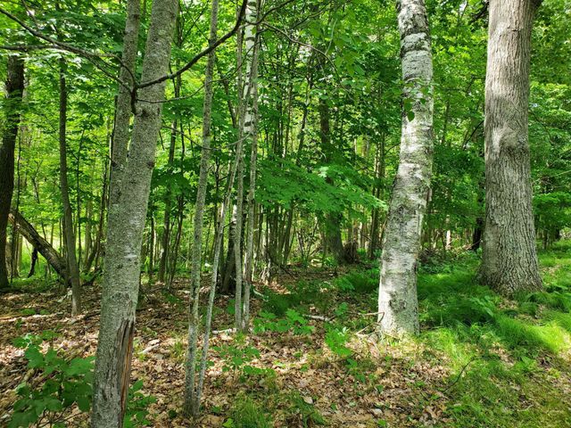 23635 County Road 36, Emily, MN 56447