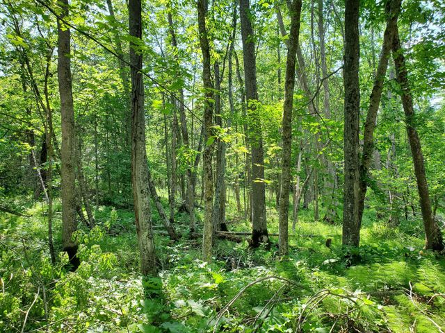 23635 County Road 36, Emily, MN 56447