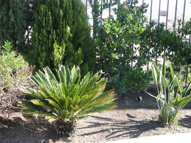 27720 Elderberry Street, Murrieta, CA 92562
