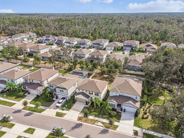 14161 HAMMOCK CREST WAY, Riverview, FL 33569