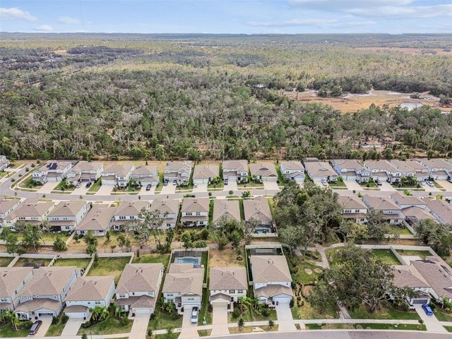 14161 HAMMOCK CREST WAY, Riverview, FL 33569