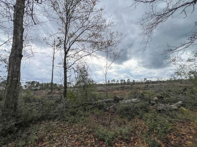 1 County Road 3038, Newton, TX 75966