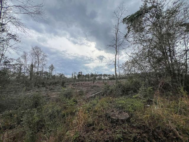 1 County Road 3038, Newton, TX 75966