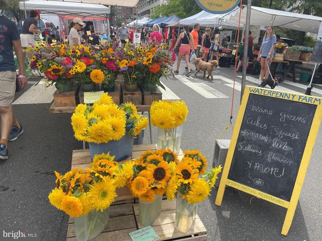 1404 N HERNDON ST, Arlington, VA 22201