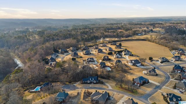 1260 OVERBROOK CIRCLE, Morris, AL 35116