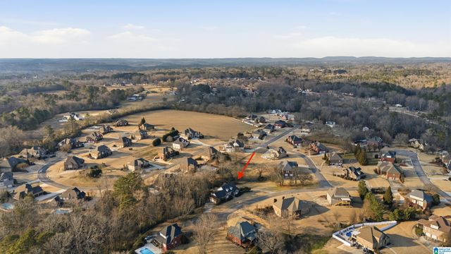 1260 OVERBROOK CIRCLE, Morris, AL 35116