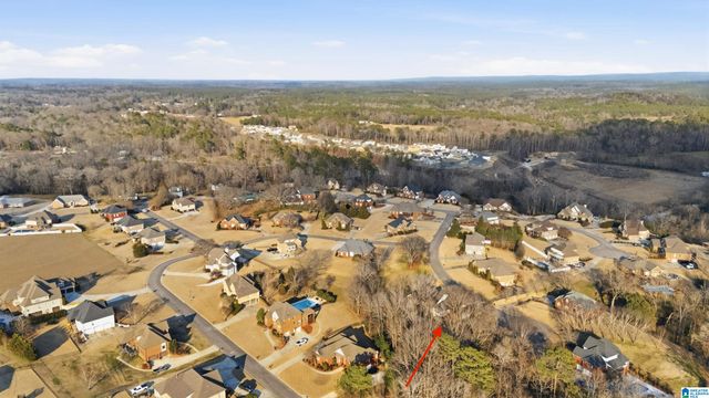 1260 OVERBROOK CIRCLE, Morris, AL 35116
