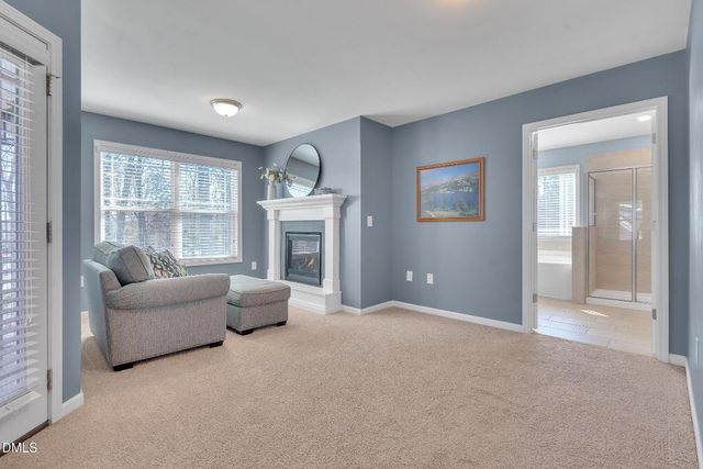 516 Spring Flower Court, Cary, NC 27511