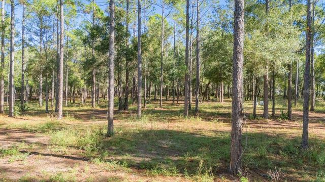 24250 DEEP SPRINGS LOOP, Eustis, FL 32736