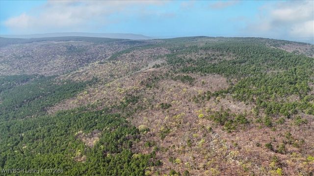 80 TBD Round Mountain Road, Heavener, OK 74940