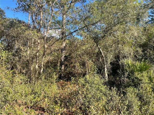 ROSE BUD DRIVE, Deland, FL 32720